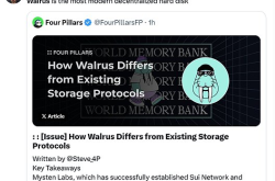 Walrus协议：Sui生态的现代化去中心化存储利器