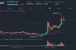 BitTorrent链(BTTC)与Terra经典(LUNC)：一场加密领域的韧性较量