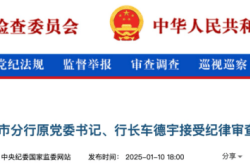 2025年金融反腐：国有大行高管频频落马，警示金融系统风险